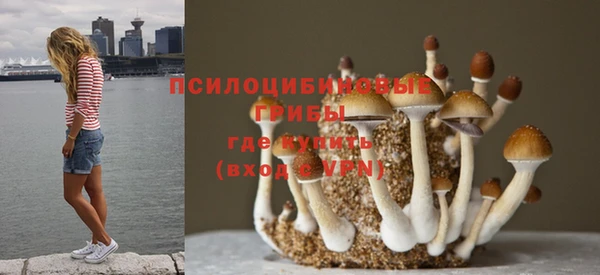 трава Новодвинск