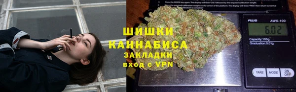 трава Новодвинск