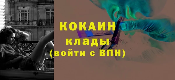 трава Новодвинск