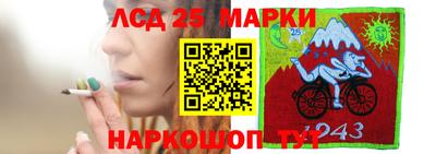 шишки Балашиха