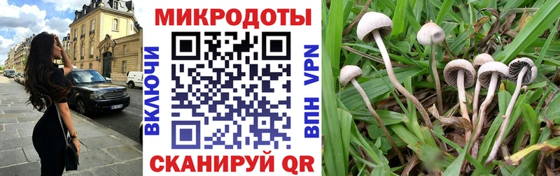 Псилоцибиновые грибы GOLDEN TEACHER Киржач